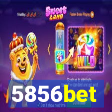 5856bet