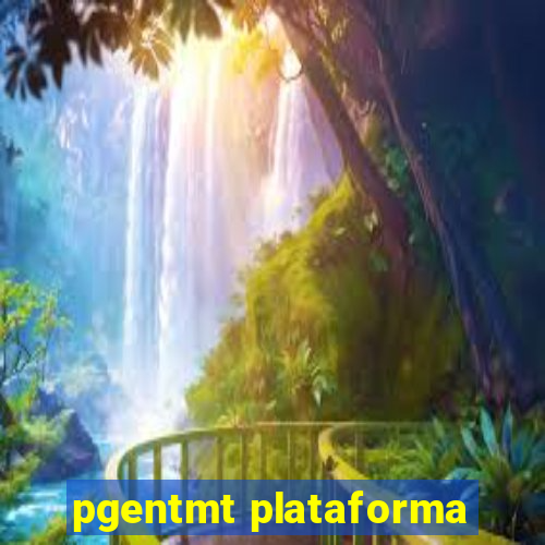 pgentmt plataforma