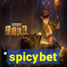 spicybet-2.com